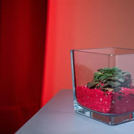 Shine House Casa de hóspedes