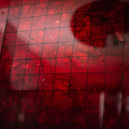 Shine House Casa de hóspedes Roma