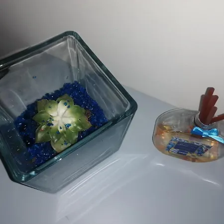 Casa de hóspedes Shine House 4*